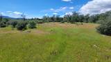000 Ole Avenue - Photo 1