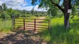 000 Ole Avenue - Photo 2