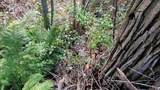 000 Ole Avenue - Photo 28