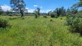 000 Ole Avenue - Photo 3
