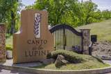 4.36 Acres Canto De Las Lupine - Photo 2