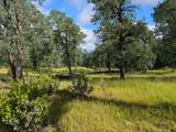  Manzanoaks Drive - Photo 10