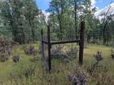  Manzanoaks Drive - Photo 11