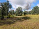  Manzanoaks Drive - Photo 6