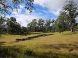  Manzanoaks Drive - Photo 8