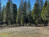 Lot 27 Princess Pine Place - Photo 10