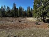 Lot 27 Princess Pine Place - Photo 4