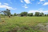 21357 Trefoil Lane - Photo 51