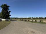  Latona Road - Photo 5