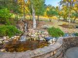 2520 Snow Lane - Photo 60