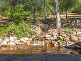 2520 Snow Lane - Photo 8