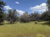 0 Cascade Boulevard - Photo 10