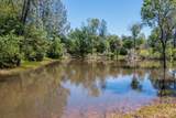 15517 Millie Drive - Photo 9