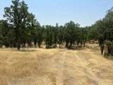 63 Little Oak Lane - Photo 3