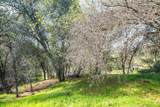 4624 Columbine Drive - Photo 80