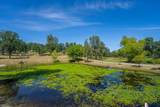 21781 Coloma Drive - Photo 22