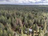 7341 Shasta Forest Drive - Photo 49