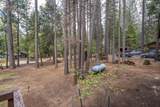7341 Shasta Forest Drive - Photo 64
