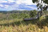 000 Clover Creek Drive - Photo 15