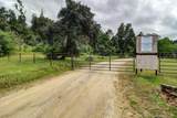 000 Clover Creek Drive - Photo 3