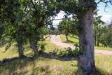 000 Clover Creek Drive - Photo 9
