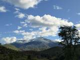 13905 Trinity Mountain Road - Photo 32