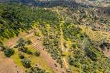 4200 Fiddlers Road - Photo 13