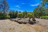 19677 San Vincente Drive - Photo 39