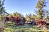  Winoxy 093-130-039-000 Lane - Photo 11