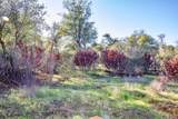  Winoxy 093-130-039-000 Lane - Photo 12