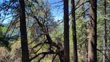 21492 Cove Road - Photo 17