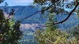 21492 Cove Road - Photo 19