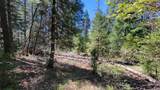21492 Cove Road - Photo 22