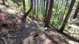 21492 Cove Road - Photo 24