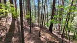 21492 Cove Road - Photo 25