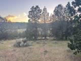 639 Pheasant Drive - Photo 11