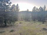 639 Pheasant Drive - Photo 12