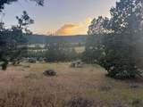 639 Pheasant Drive - Photo 13