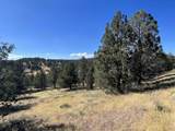 639 Pheasant Drive - Photo 19