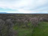 17695 Dolores Drive - Photo 30