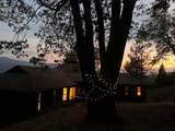 1200 Mountain Springs Road - Photo 53