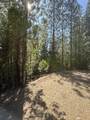  Kangaroo Creek Road - Photo 1