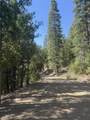  Kangaroo Creek Road - Photo 4