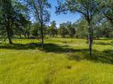 16651 Dorvel Lane - Photo 39
