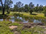 16651 Dorvel Lane - Photo 49