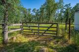 16651 Dorvel Lane - Photo 75
