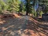 211 Goa Way - Photo 41