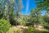 3588 Magnums Way - Photo 27