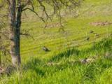 18920 Reeds Creek Road - Photo 70
