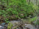 211 Strope Creek Road - Photo 49